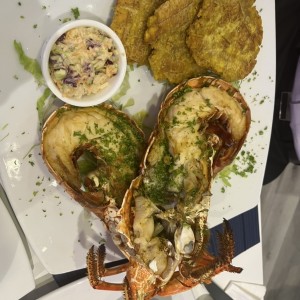 langosta