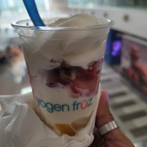 Parfait - 10 Oz 2 Cereales +2 Frutas