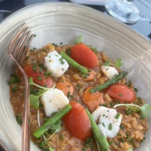 PASTAS - RISOTTO DE LANGOSTINOS
