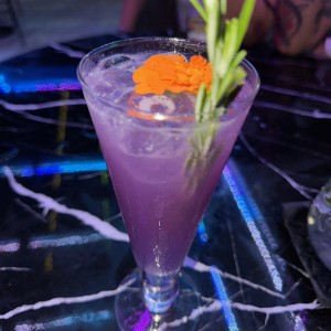 Aurora Mule