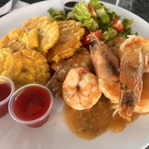 Langostinos alajillo