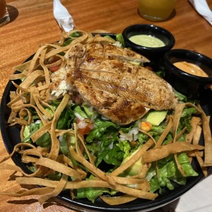 Ensaladas raptor