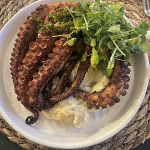 Pulpo