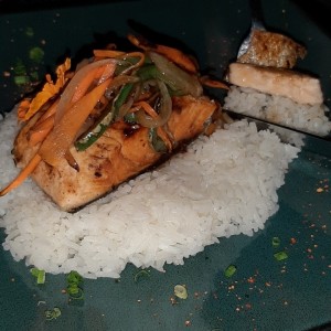 Salmon