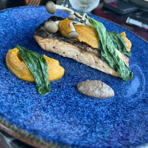 Salmon