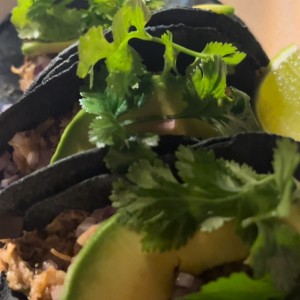 Tacos de pato