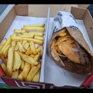 gyro especial pernil