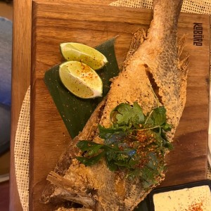 Corvina frita