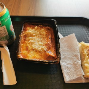 Canelones de carne
