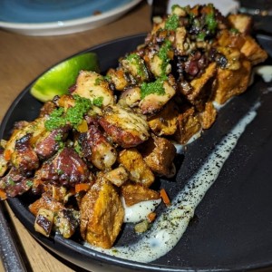 El pulpo