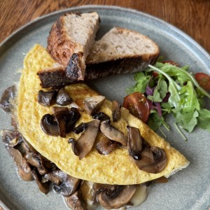 Egg Mushrooms
