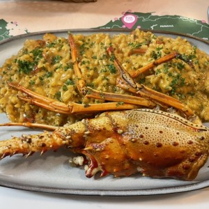 Rissoto con langosta 
