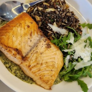Salmon