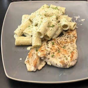 Pollo