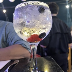GIN TONIC CON FRUTOS ROJOS 