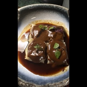 PARA COMPARTIR - DUMPLING DE RES