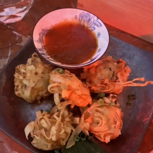 Wanton de lechon