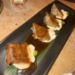 PARA COMPARTIR - DUMPLING DE RES