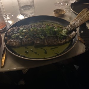 Catch of the day
