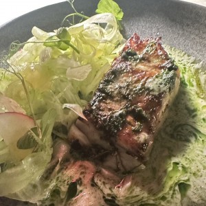 Corvina Popino