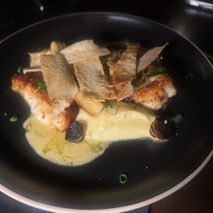 Corvina