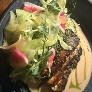 Corvina al Popino