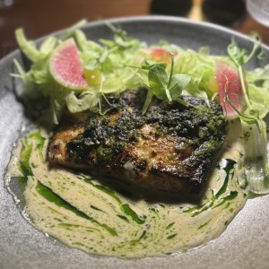 Corvina