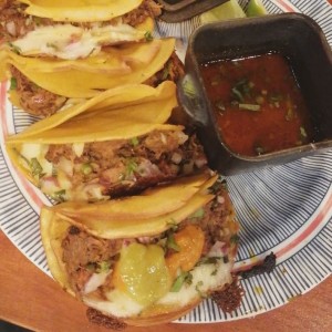 Tacos birria