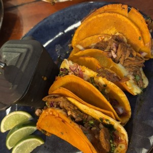 Tacos de birria