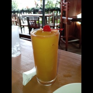 Smoothie de Mango