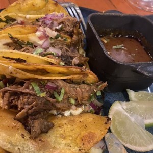 Taco birria