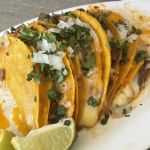 Tacos Birria