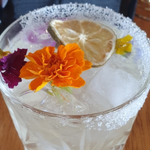 Gamboa-rita