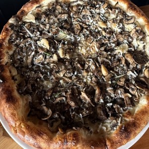 Especial de Hongos