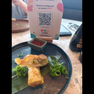 Entradas - Spring Rolls