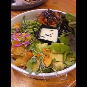 Pokemon bowl
