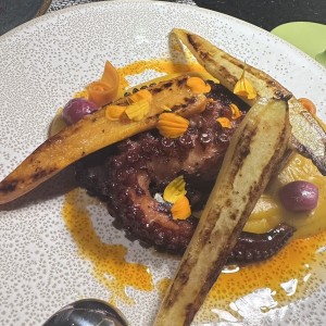 Pulpo,Zanahoria,encurtidos