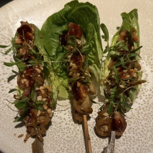 PINTXOS DE POLLO ORGÁNICO