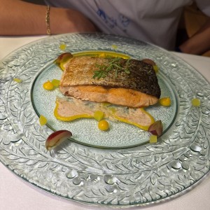 Salmon
