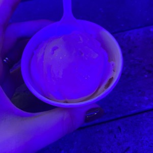 Sorbeto de sandía mini