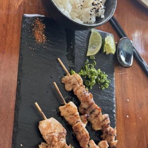 Pollo
