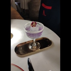 Viola