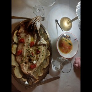 Pesca Platera