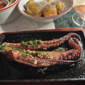 Pulpo