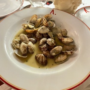 Almejas con vino blanco