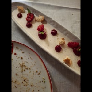 Panacotta