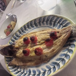 Pesce fresco del Giorno