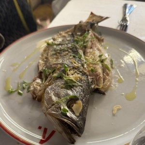 Pesca del dia