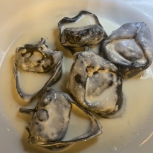 Tortellini de salmon
