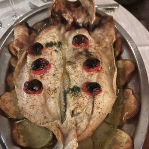 pesca del dia